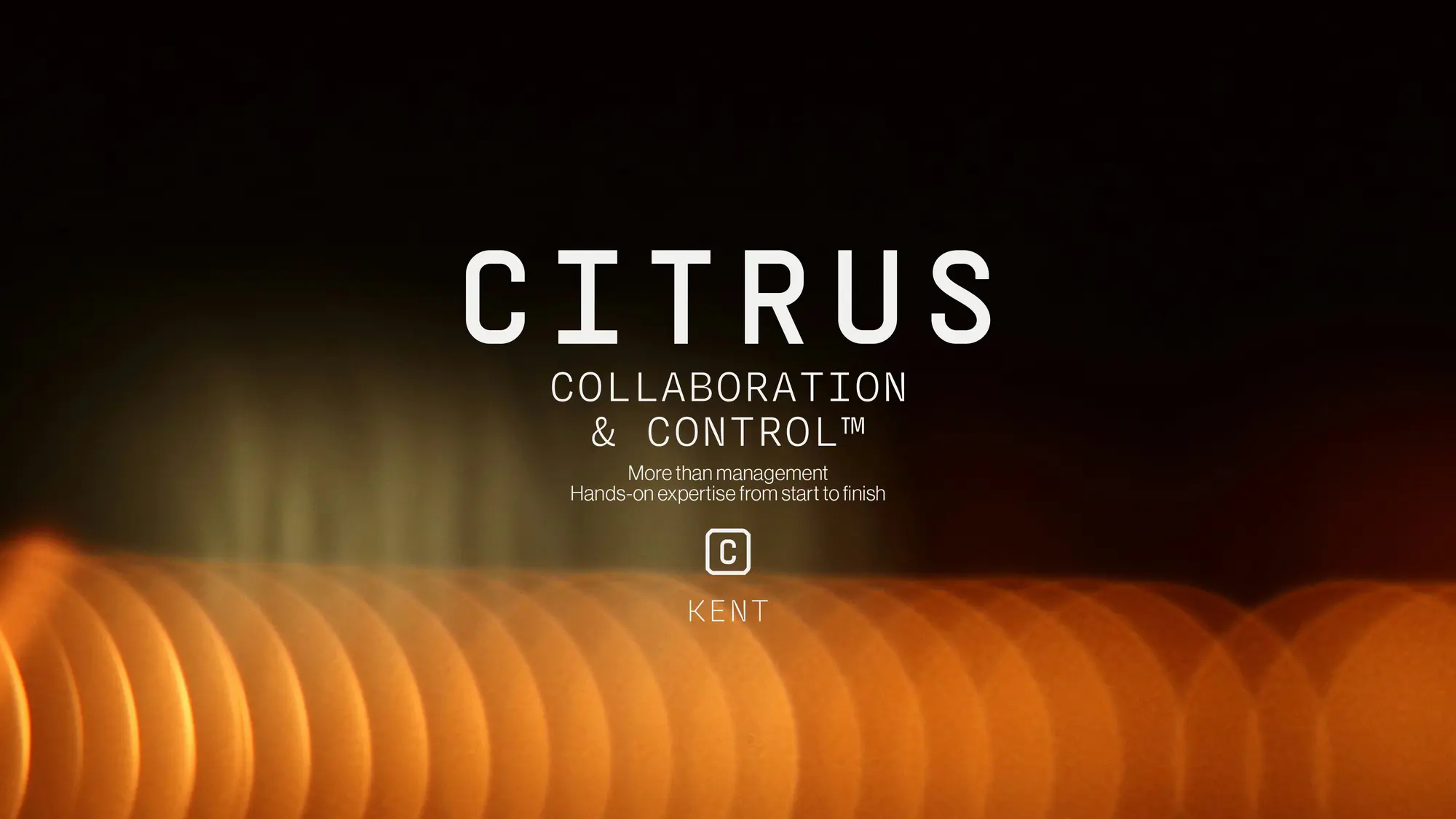 Citrus — image 3 of 10