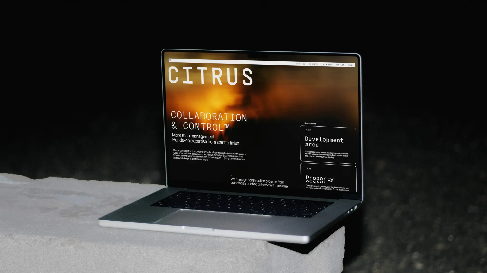 Citrus — image 5 of 10