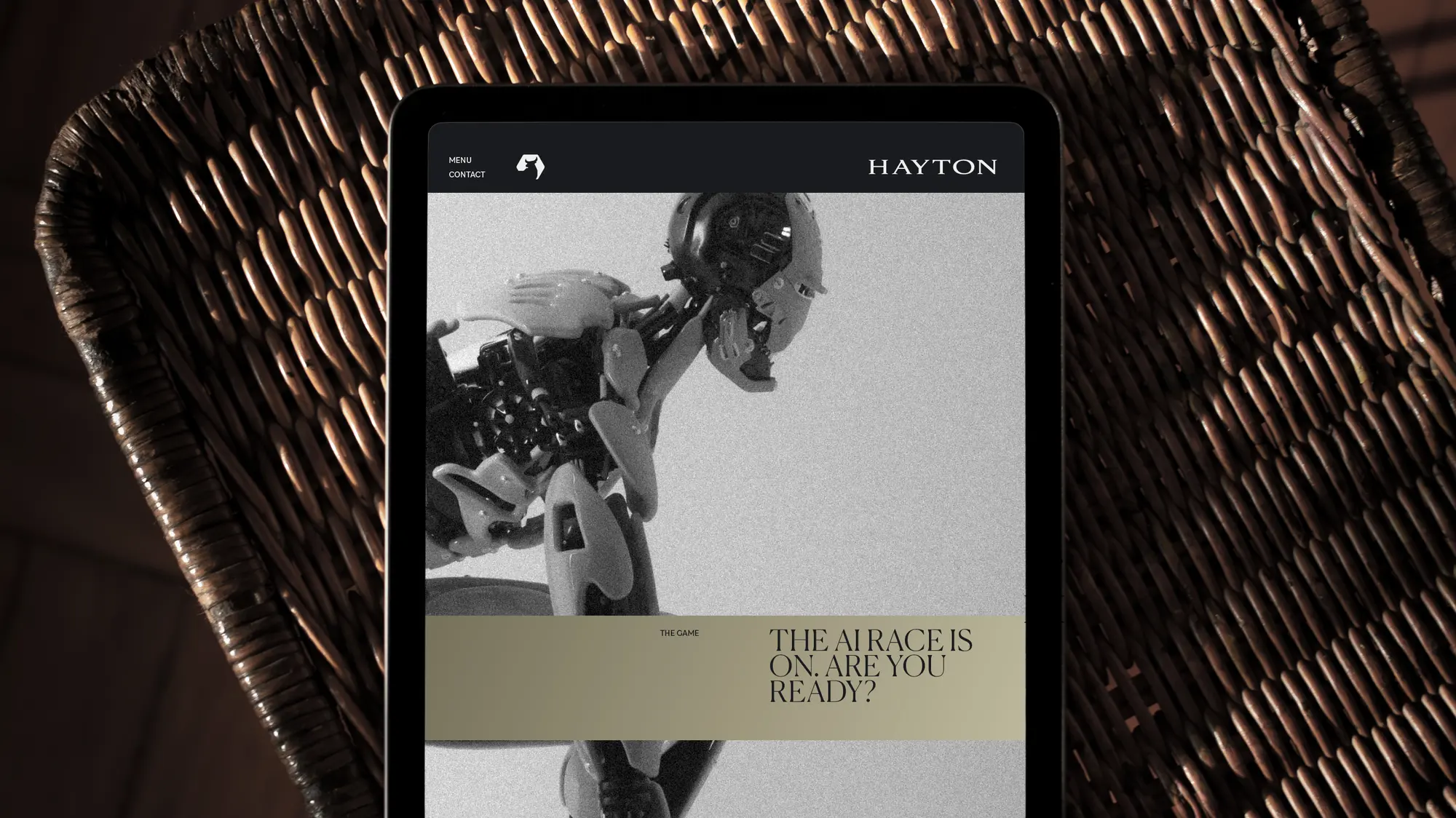 Hayton — image 3 of 9