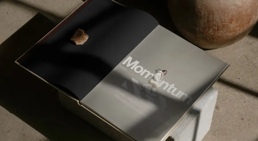 Momentum — image 1 of 7